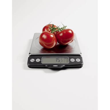 Scale
