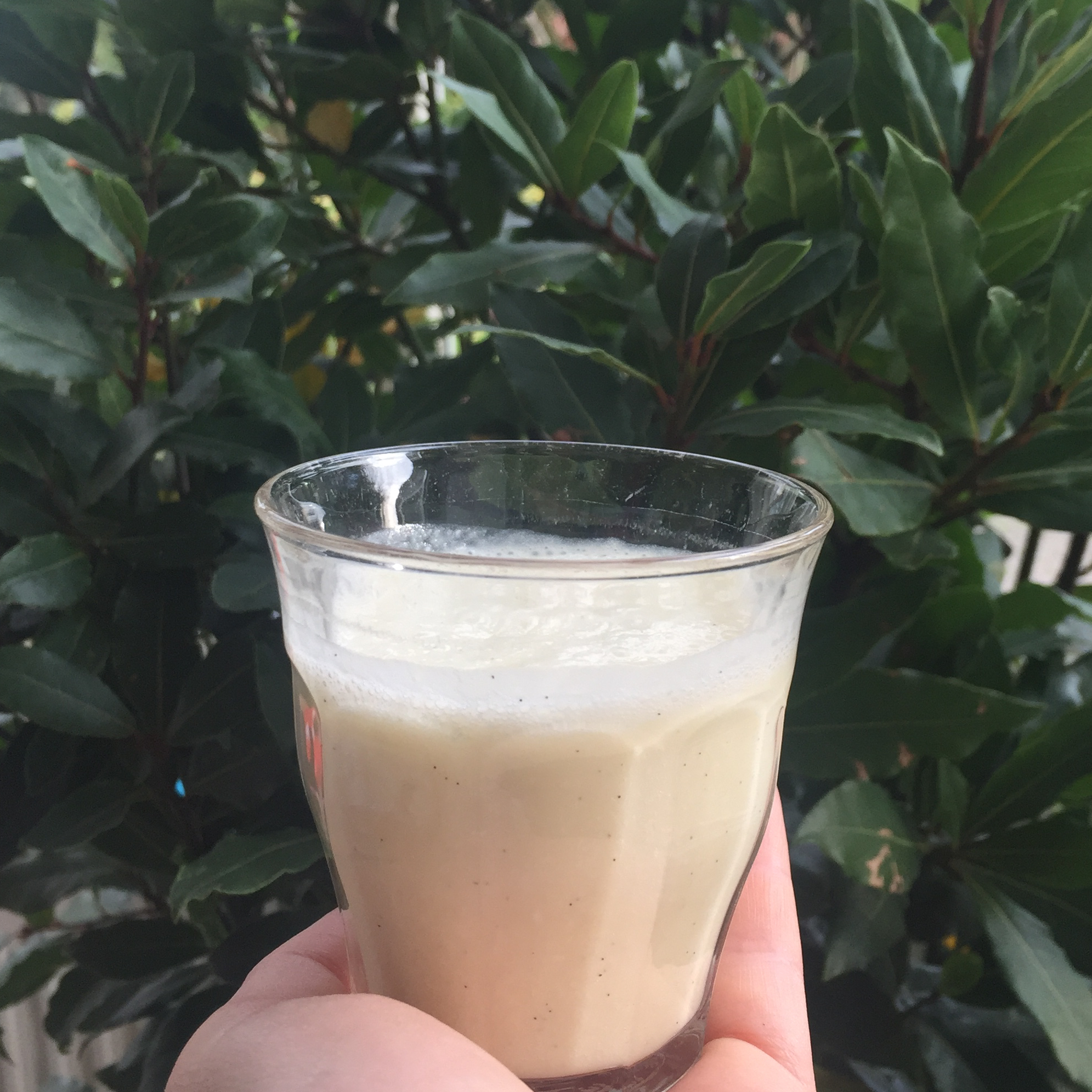 Ananas-Kokosnuss smoothie