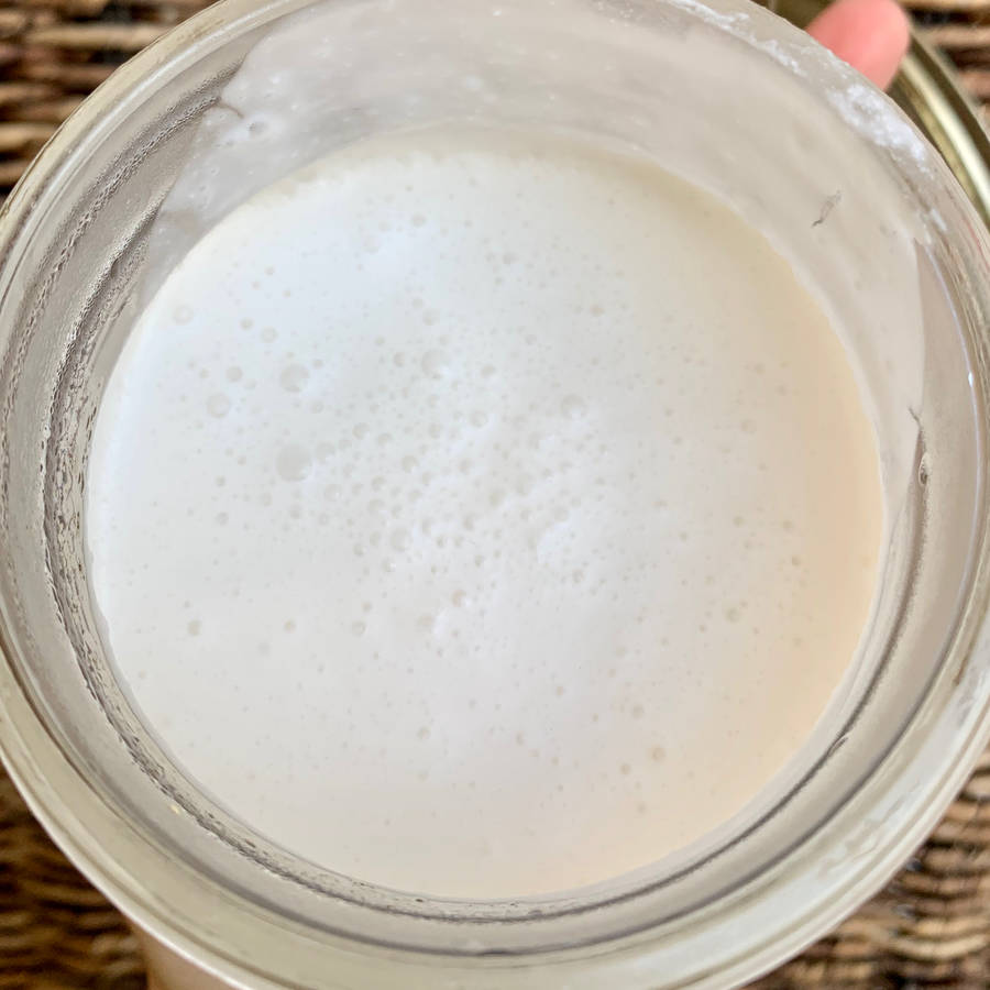 Vegan Vanilla Cream Recipe Kitchen Stories