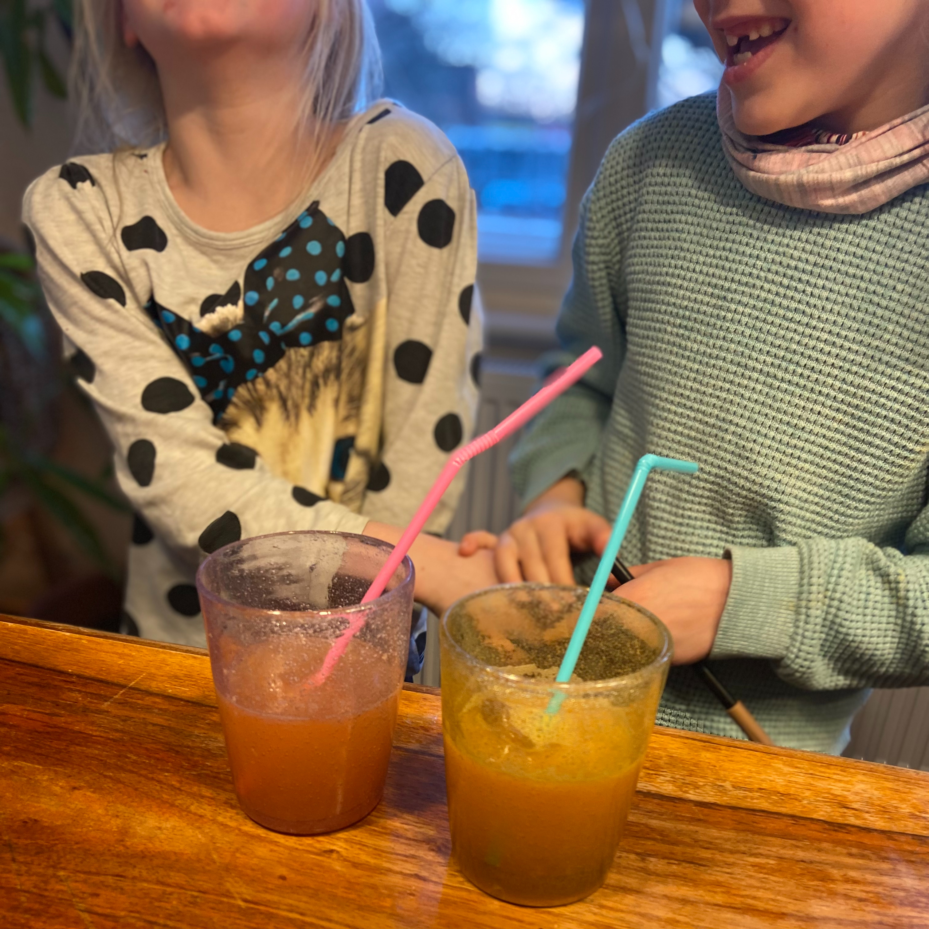 Fridas & Julinas Lieblingslimo