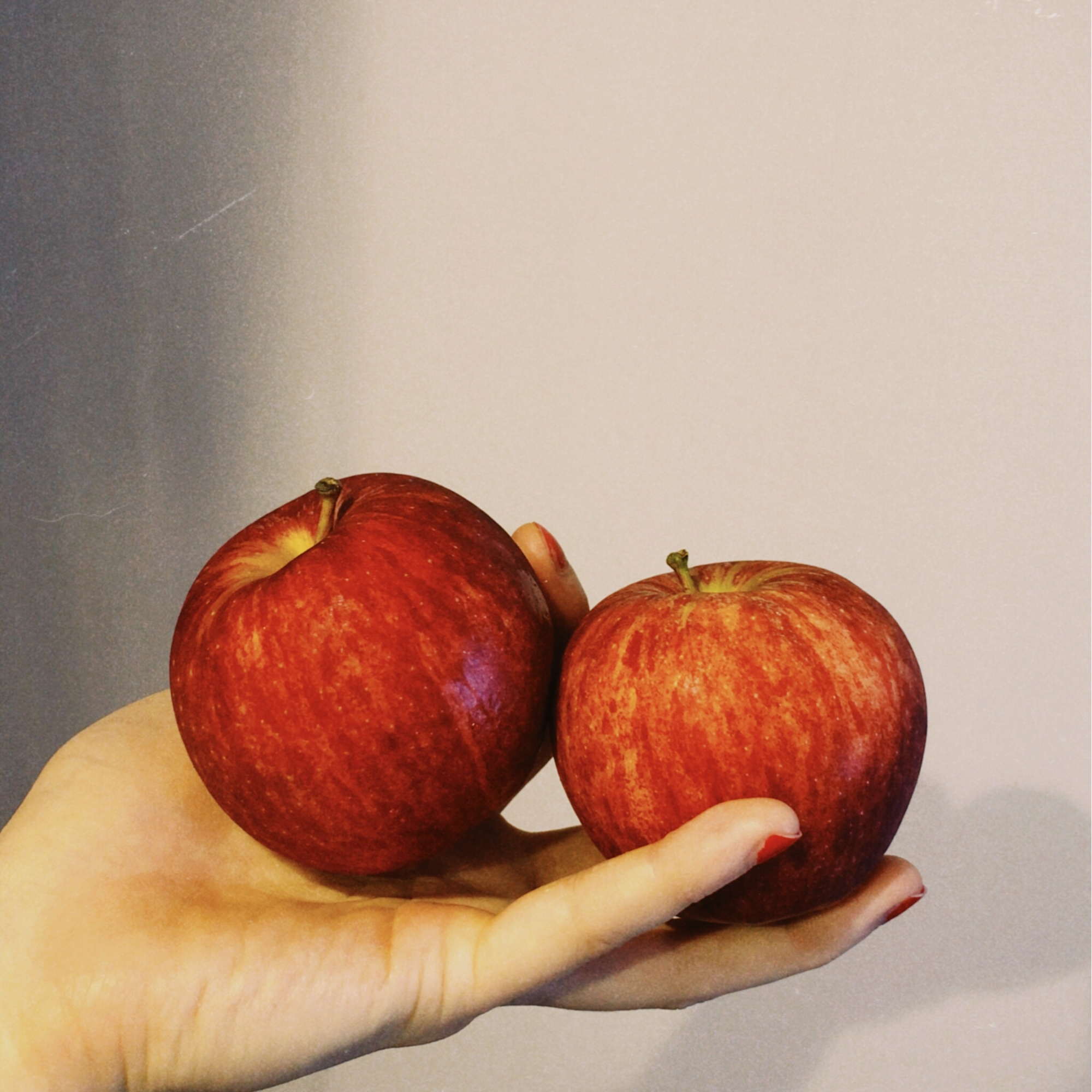 Image of Katherine Apple