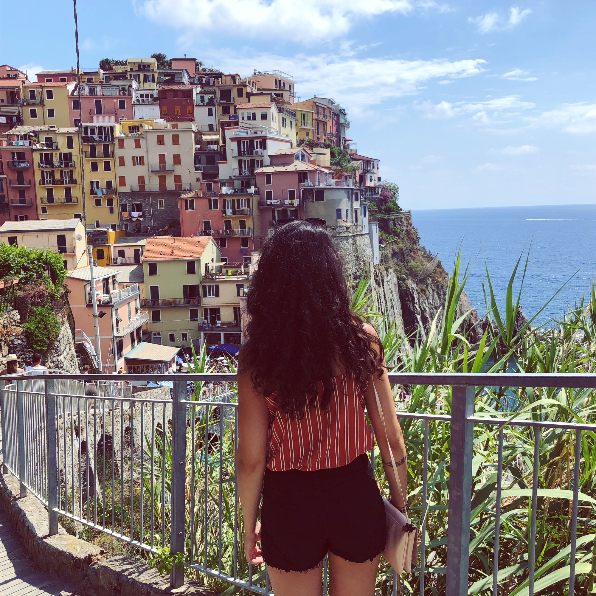 Image of Silvy