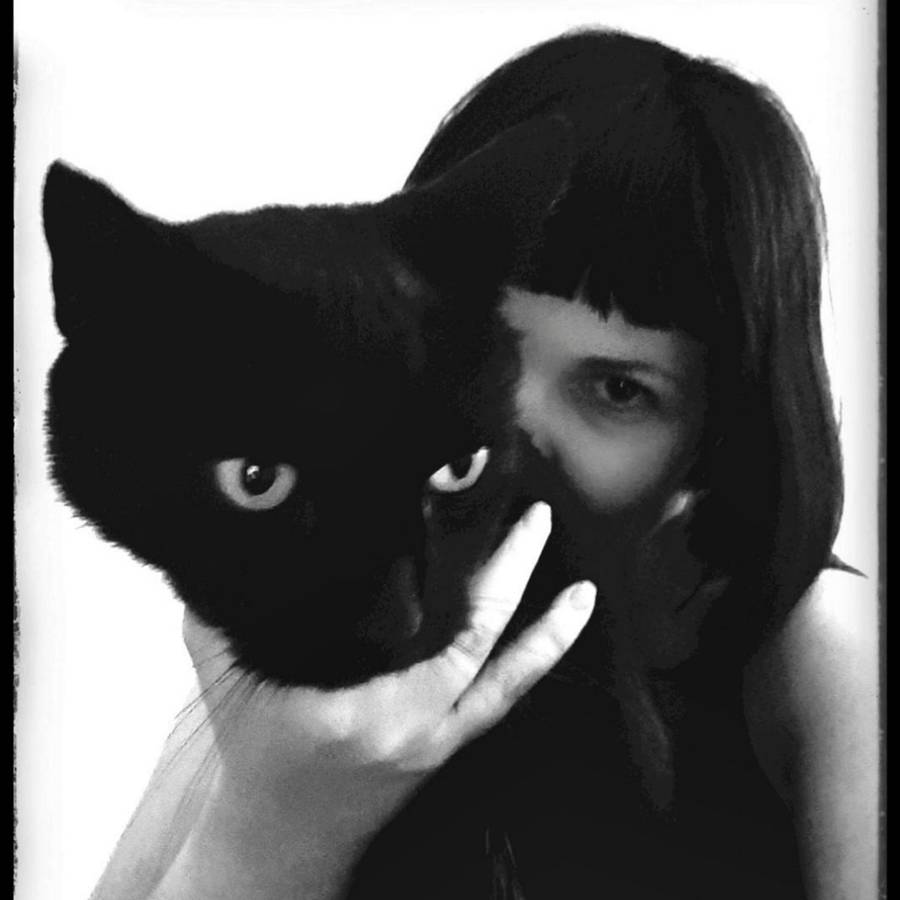 French toast berry rolls Recipe Kitchen Stories