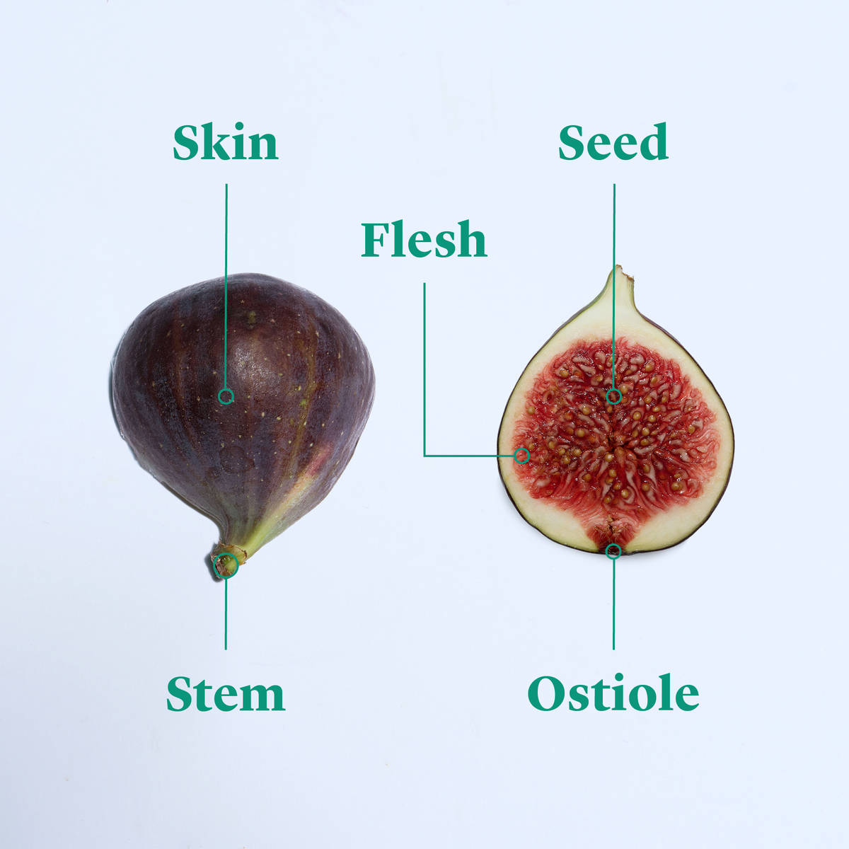 Everything to Know About Cooking and Shopping for In Season Figs