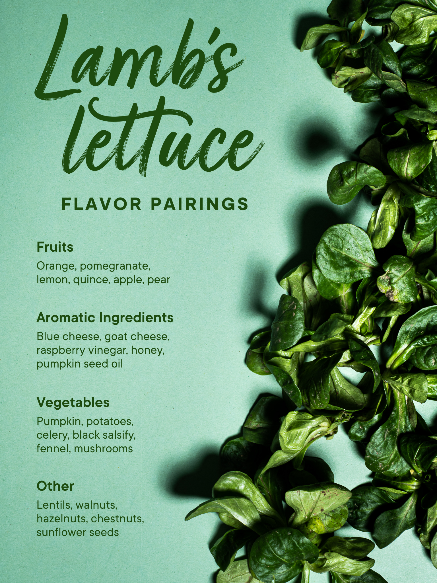 Everything You Need to Know About Preparing and Storing In Season Lamb