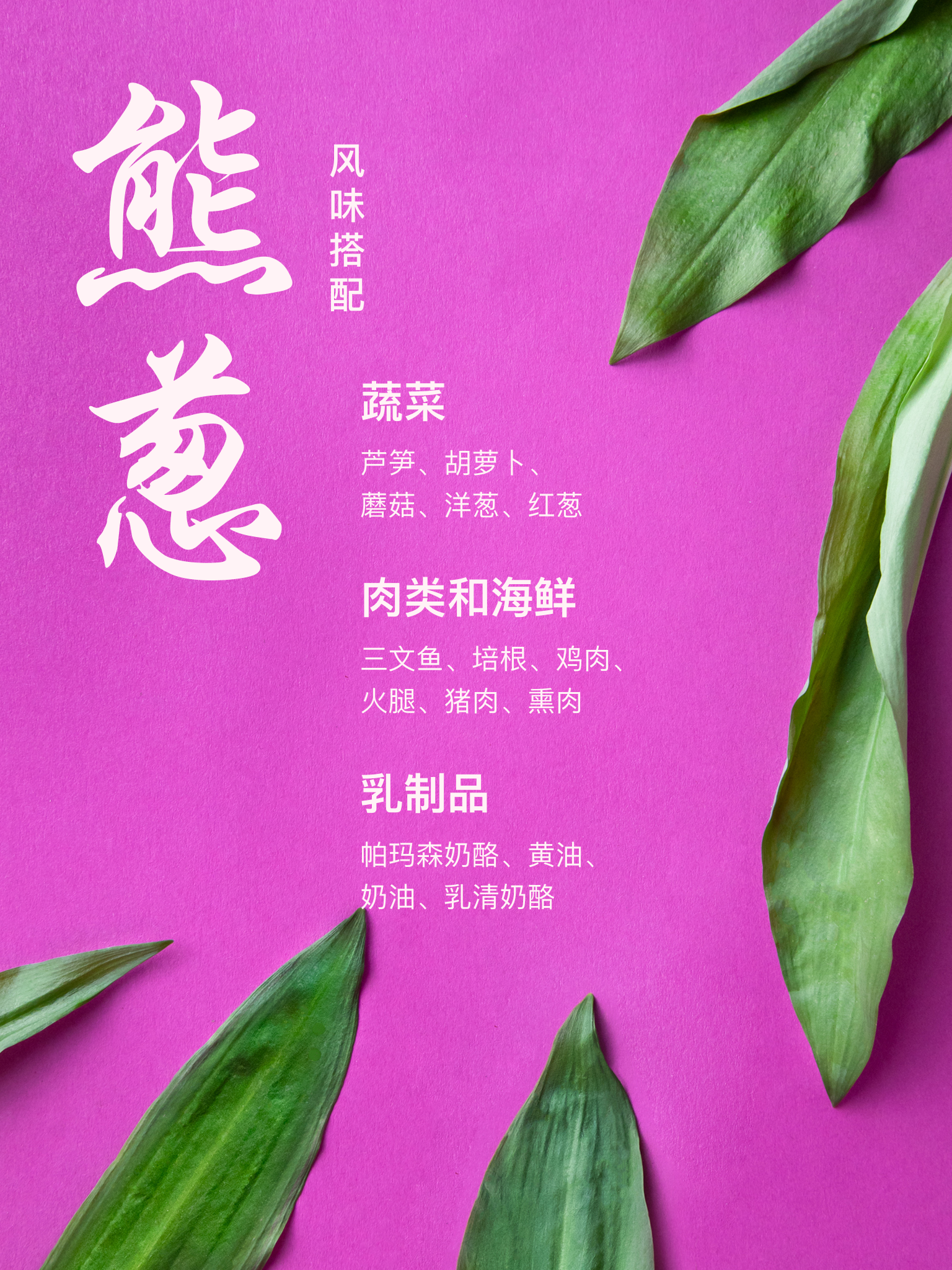 关于应季熊葱 你需要知道的几件事 故事 厨房故事