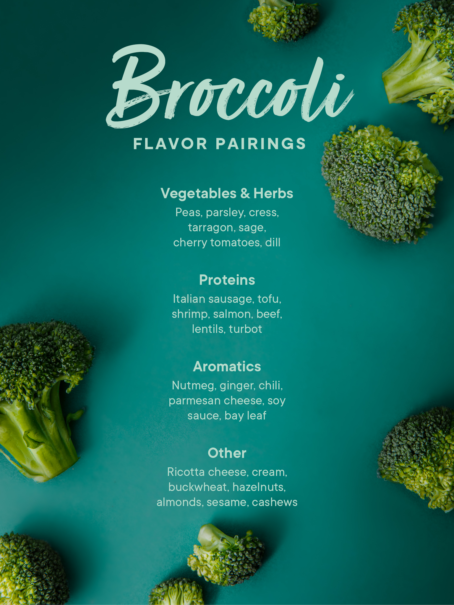 Everything to Know About Preparing and Storing Broccoli Kitchen Stories
