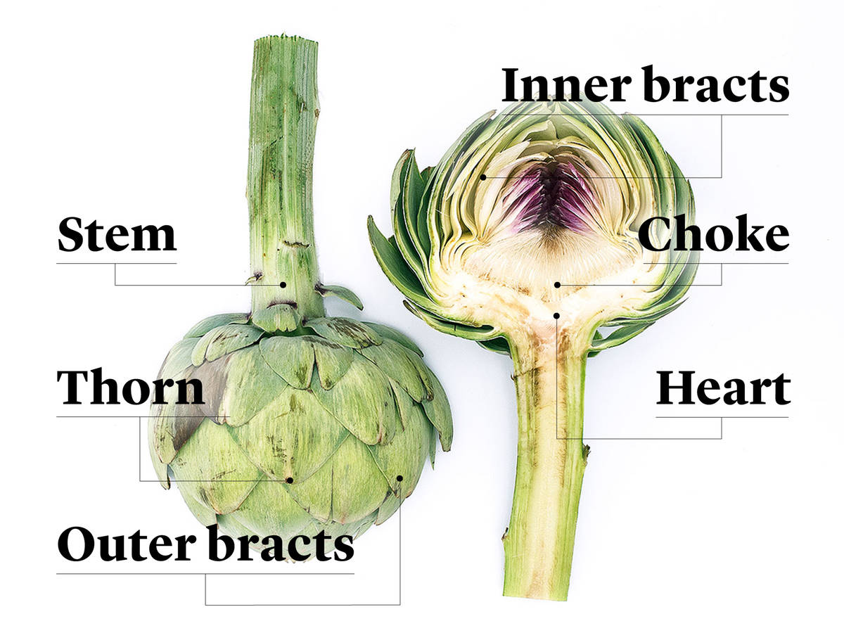 Everything to Know About Cooking and Shopping for In Season Artichokes