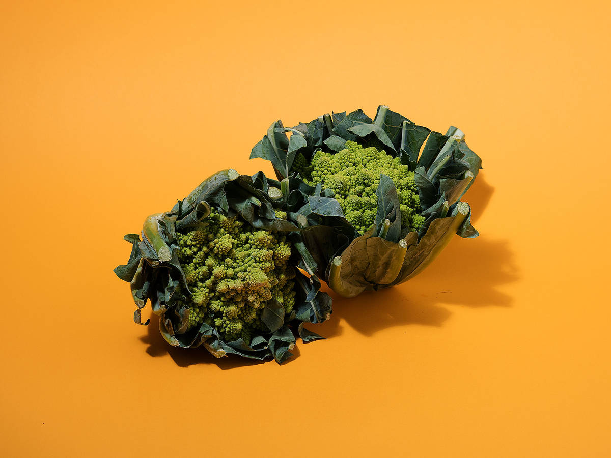 Romanesco cabbage: cooking recipes 16 Romanesco cabbage: cooking recipes 85