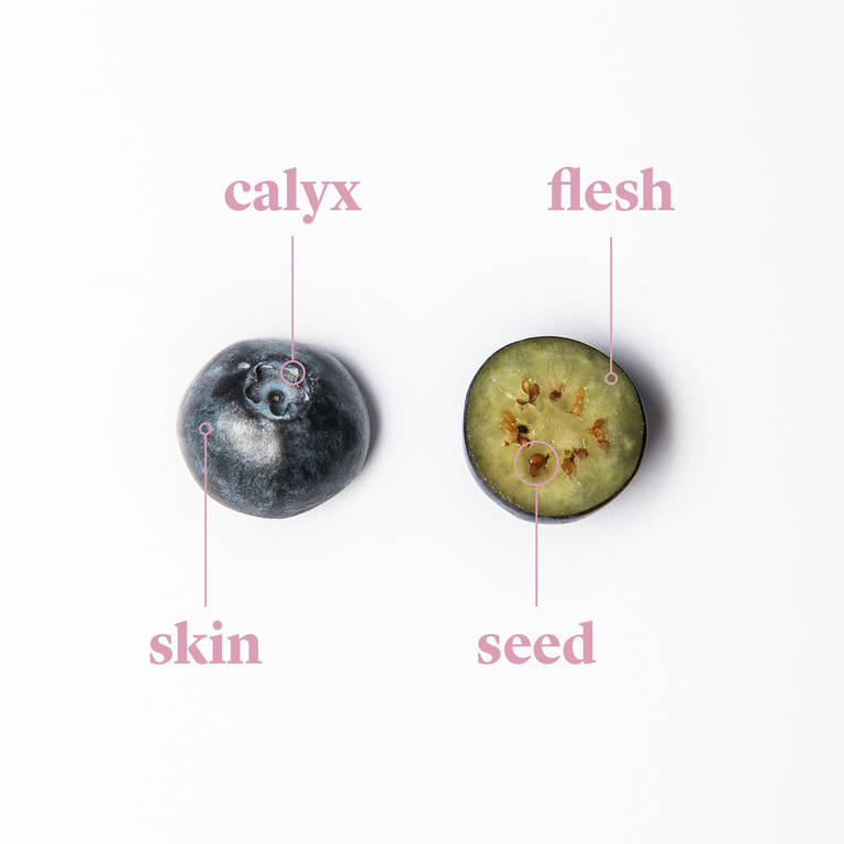 Everything to Know About Cooking and Shopping for In Season Blueberries