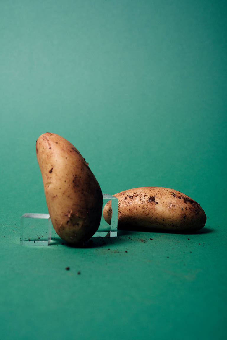 Cilena Kartoffeln Wann Ernten Jetzt in Saison: Frühkartoffeln richtig kaufen, lagern und zubereiten