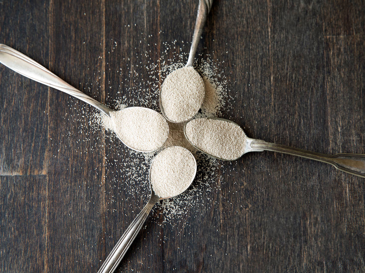 Frische Hefe vs. Trockenhefe Wo liegen die Unterschiede?