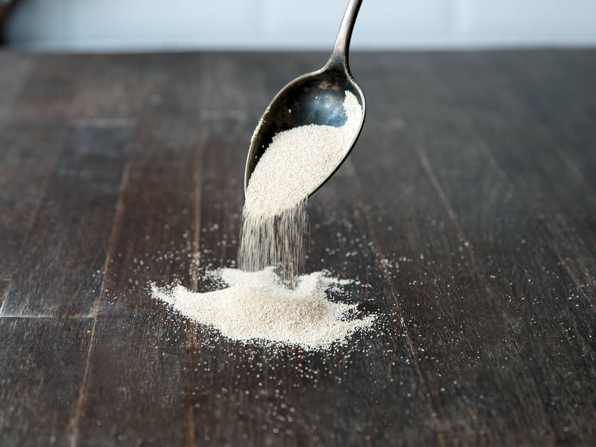 Frische Hefe vs. Trockenhefe Wo liegen die Unterschiede?