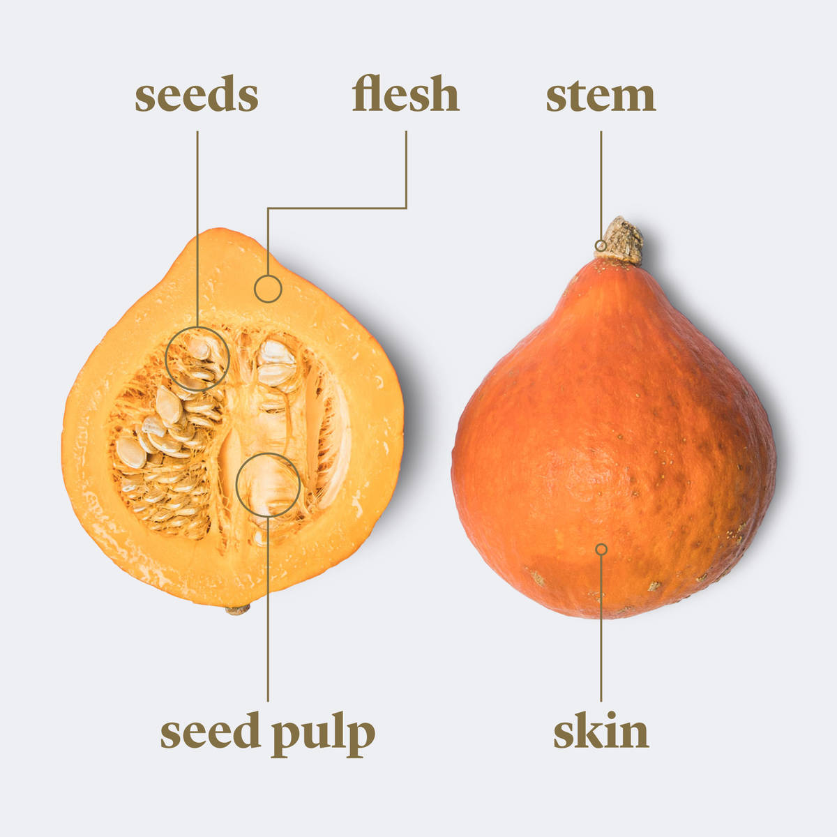 Everything to Know About Cooking and Shopping for In Season Winter