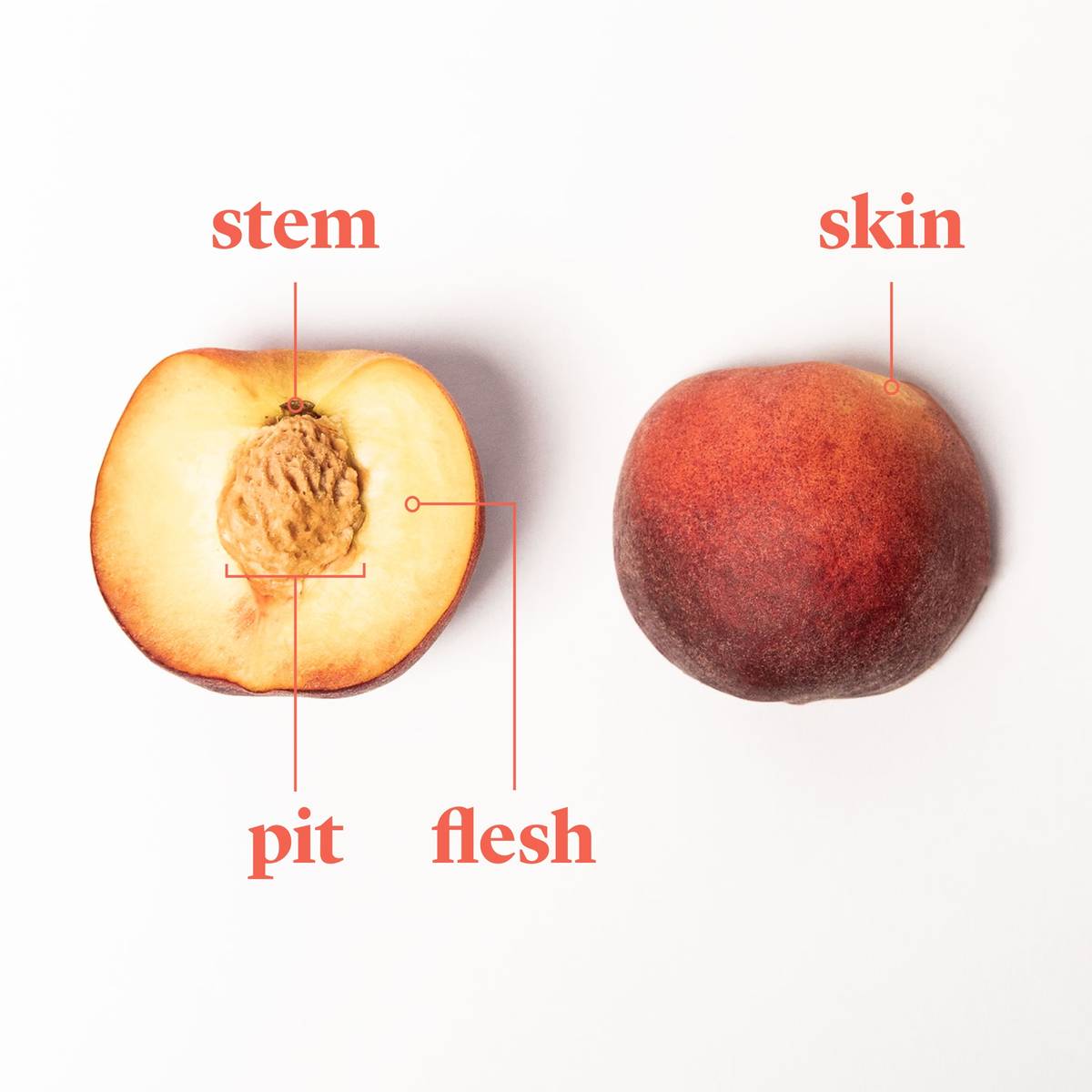 Everything to Know About Cooking and Shopping for In Season Peaches