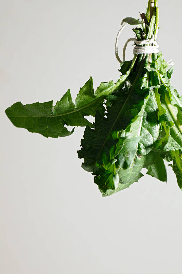 Everything To Know About Shopping For Storing And Preparing In Season Dandelion Stories Kitchen Stories