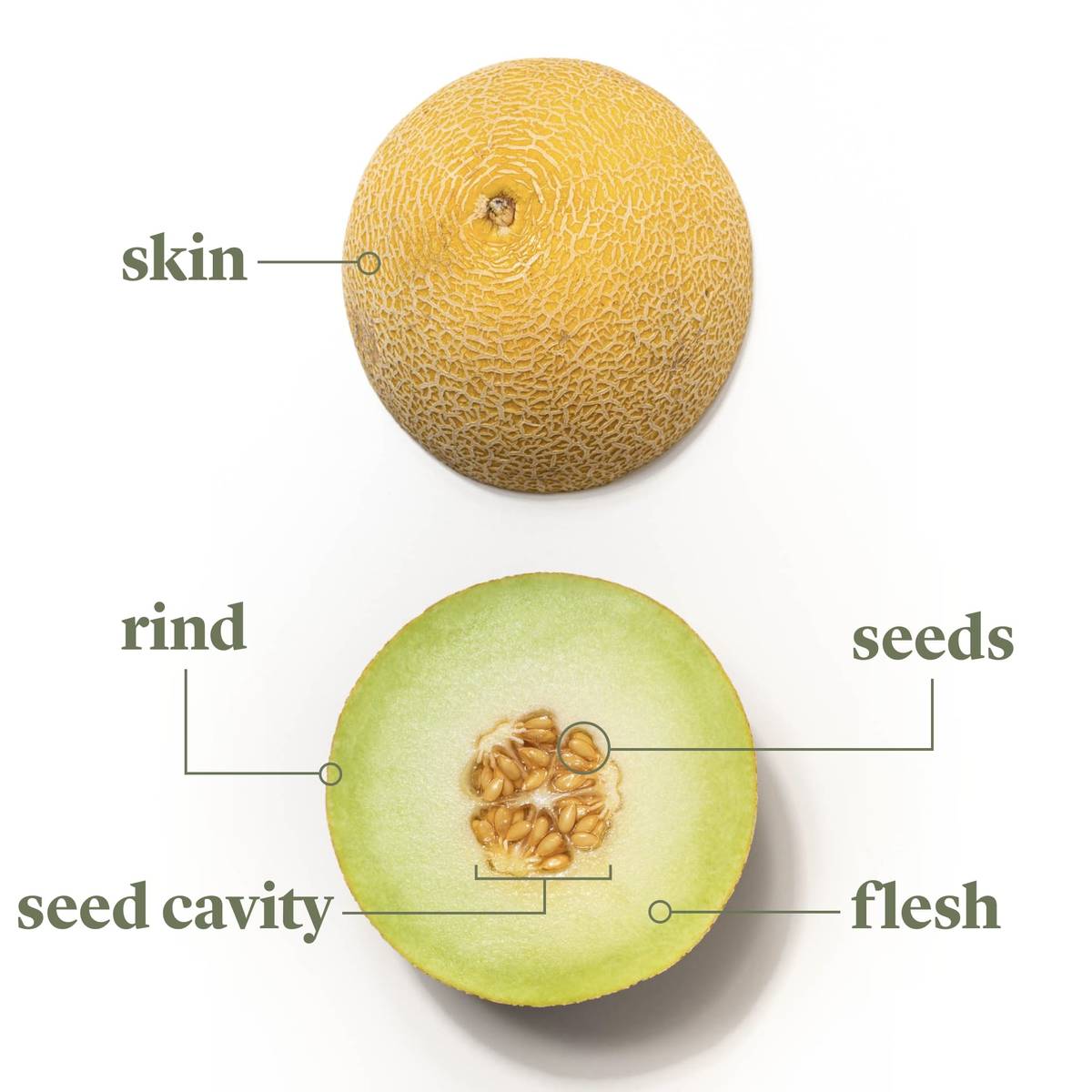 In Season Now Buying, Preparing, and Storing Honeydew Melon Kitchen