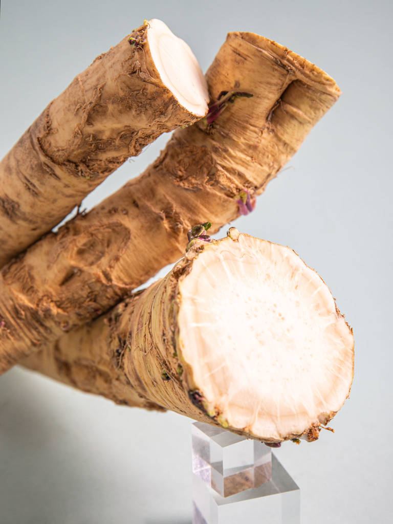 Jetzt in Saison Meerrettich richtig kaufen, lagern und zubereiten