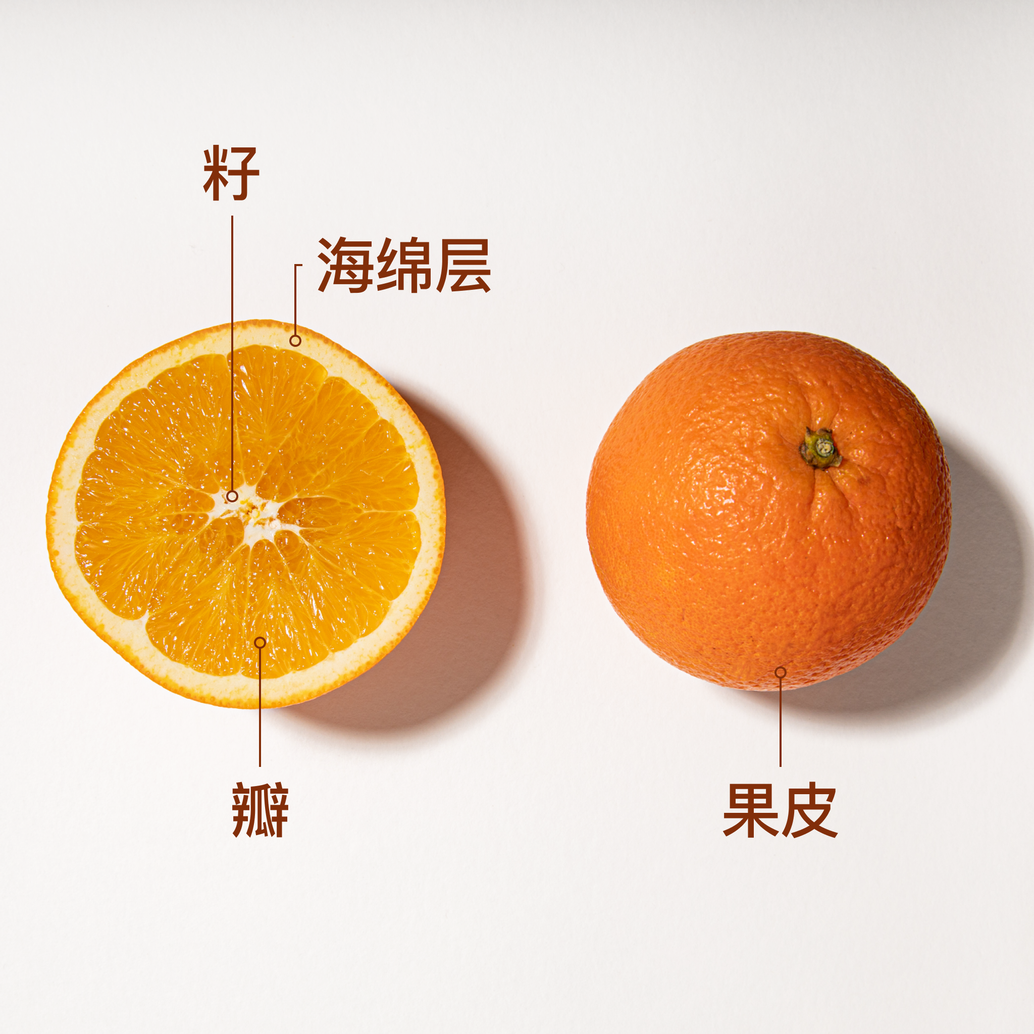 关于应季橙子 你需要知道的几件事 故事 厨房故事