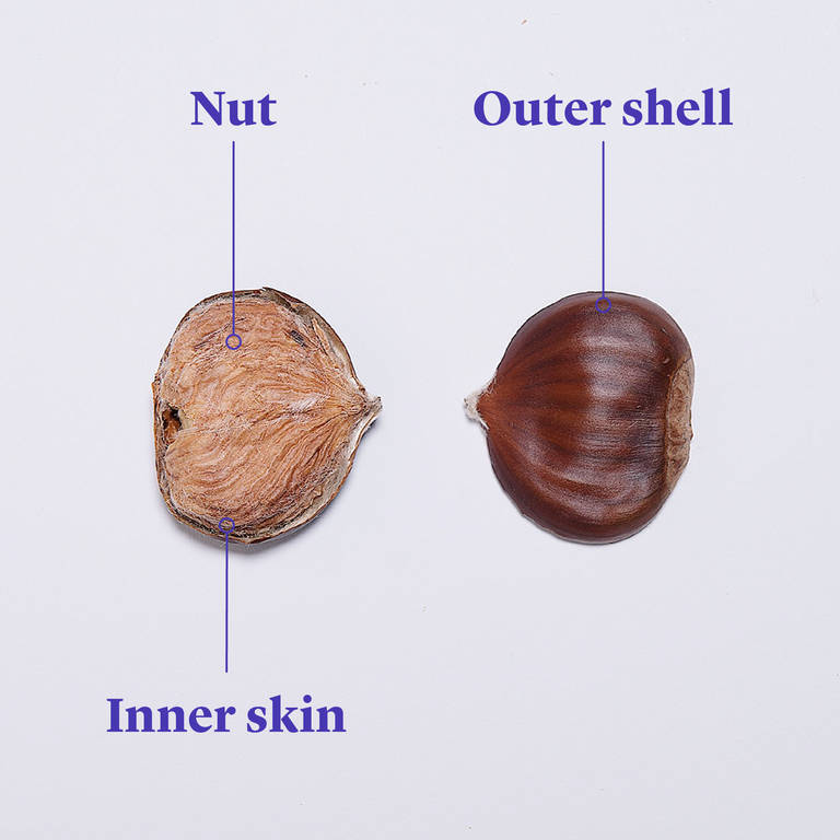 Everything to Know About Cooking and Shopping for In Season Chestnuts