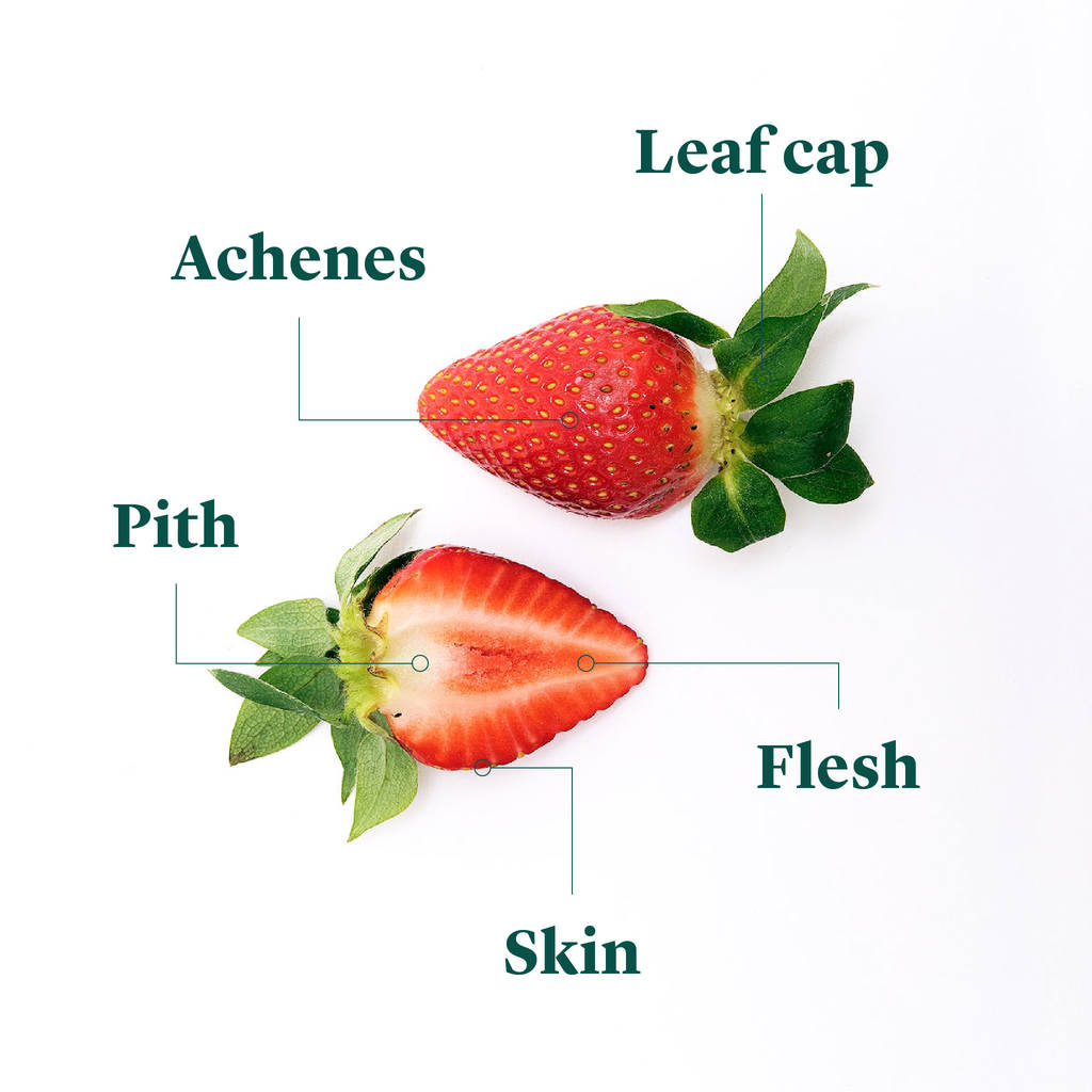 sweetest strawberry seeds